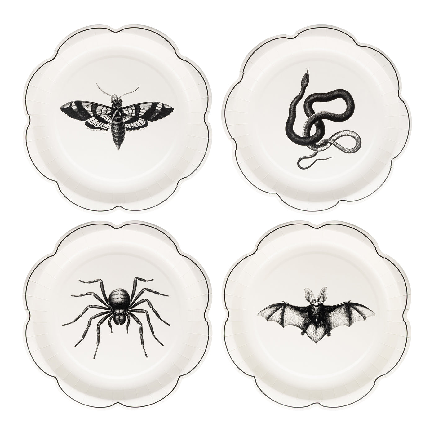 APO1240 - Apothecary Paper Plate Set