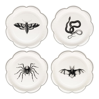 APO1240 - Apothecary Paper Plate Set