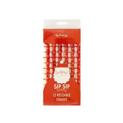 BEC1016 - Believe Santa Reusable Straw Set