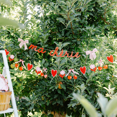 MAC1202 - Ma Cherie Banner Set