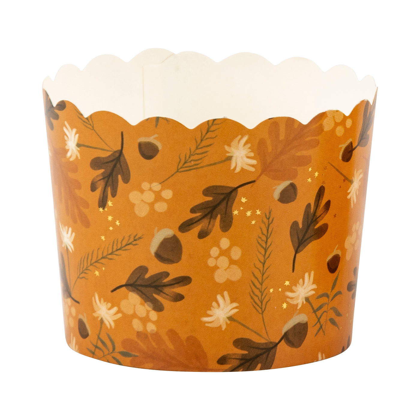 PLCC1806x - Gold Foil Acorn Burst 5 oz Baking Cups