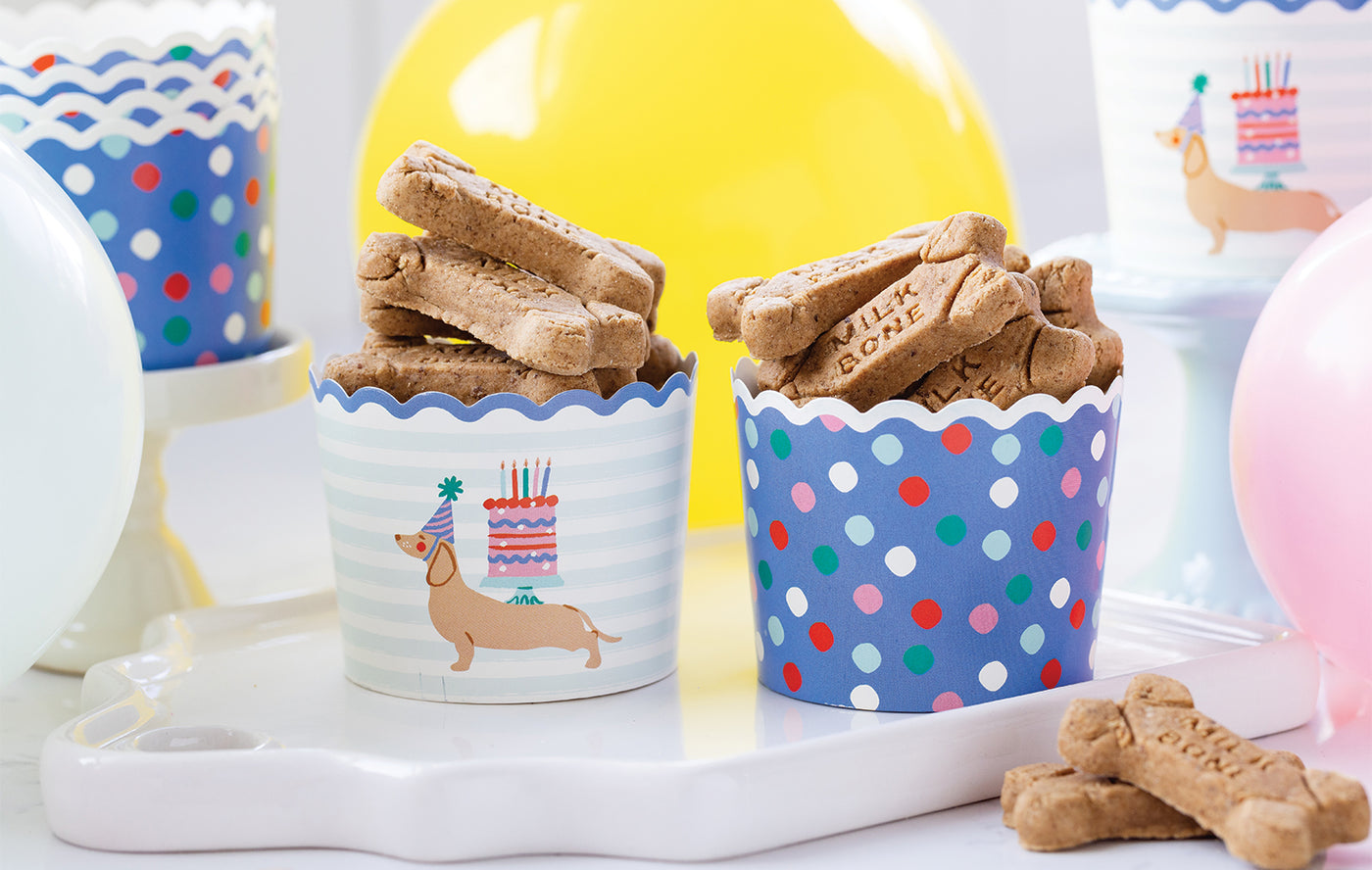 PLCC2055x - Dog Birthday Baking Cup