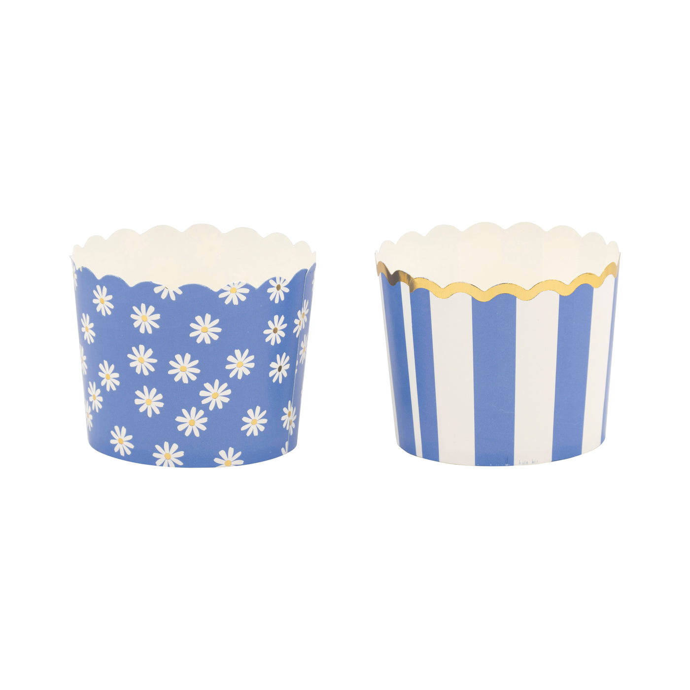 PLCC2078x - Blue Daisy Stripe Foiled Baking Cup