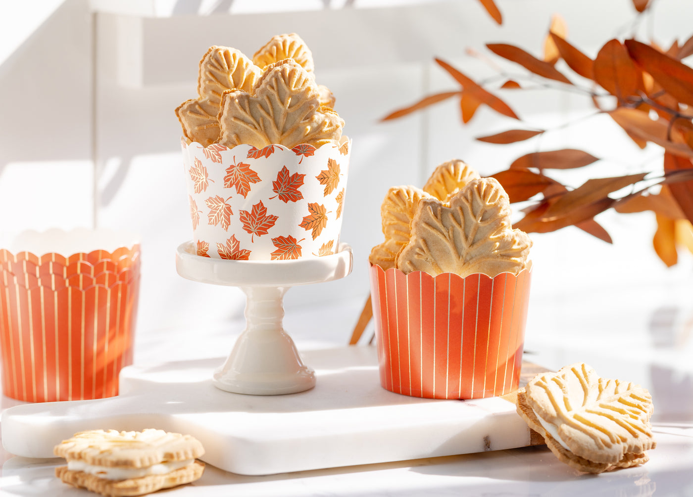 PLCC2194 - Foiled Striped Leaves 5 oz Baking Cups
