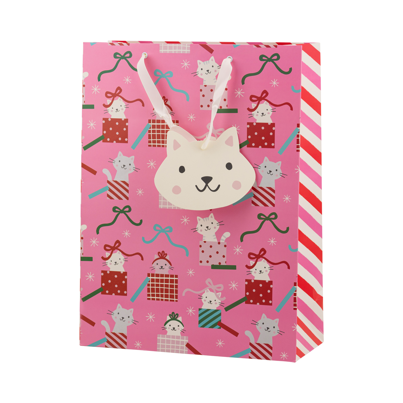 PLGB434 - Cat Gift Bag