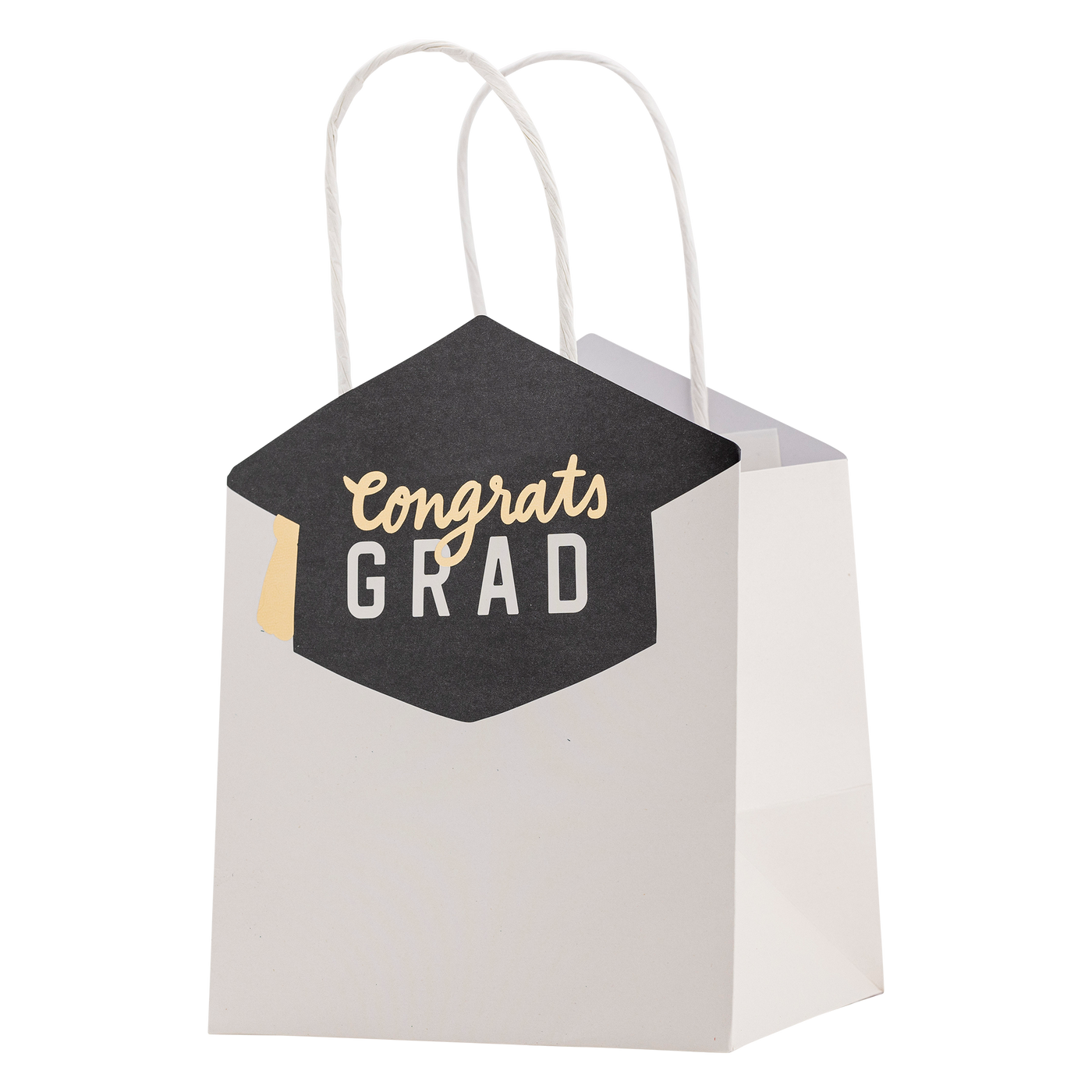 PLGBS101 - Congrats Grad Gift Bag Set of 6