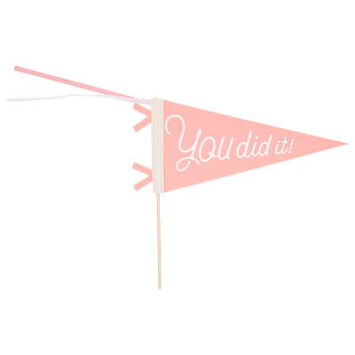 PLHB148 - Pink You Did It Felt Pennant Banner