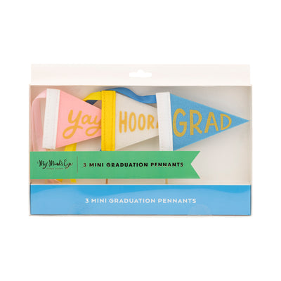 PLHB234 - Graduation Felt Pennant Banner Set