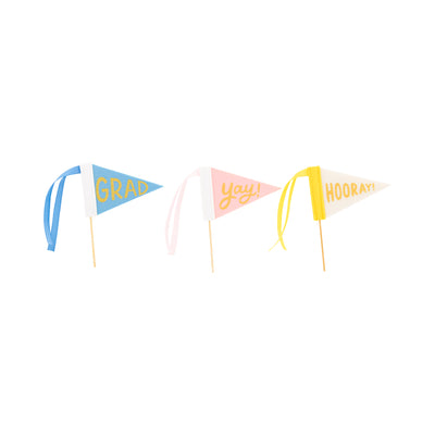 PLHB234 - Graduation Felt Pennant Banner Set