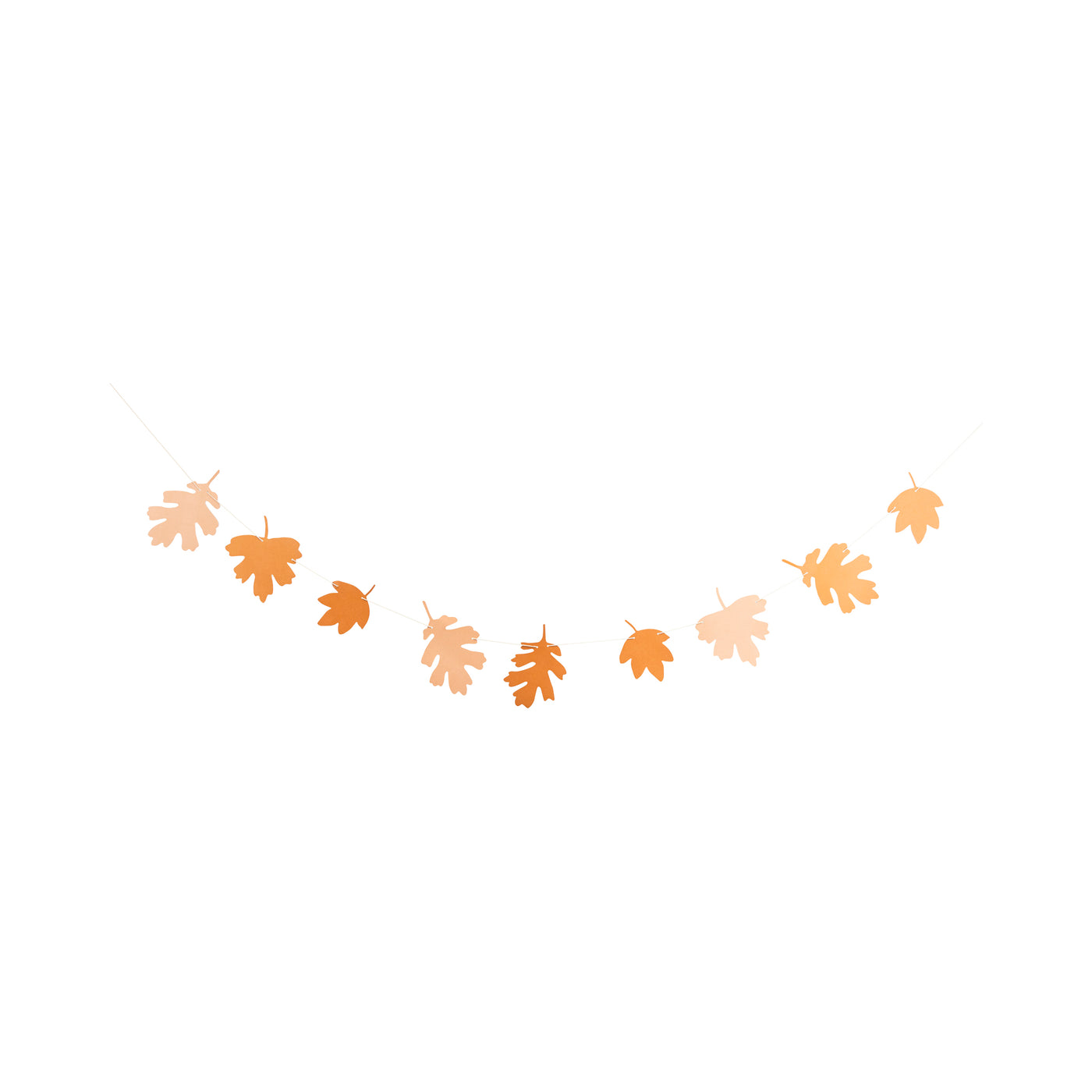 PLHB306 - Give Thanks Paper Banner Set