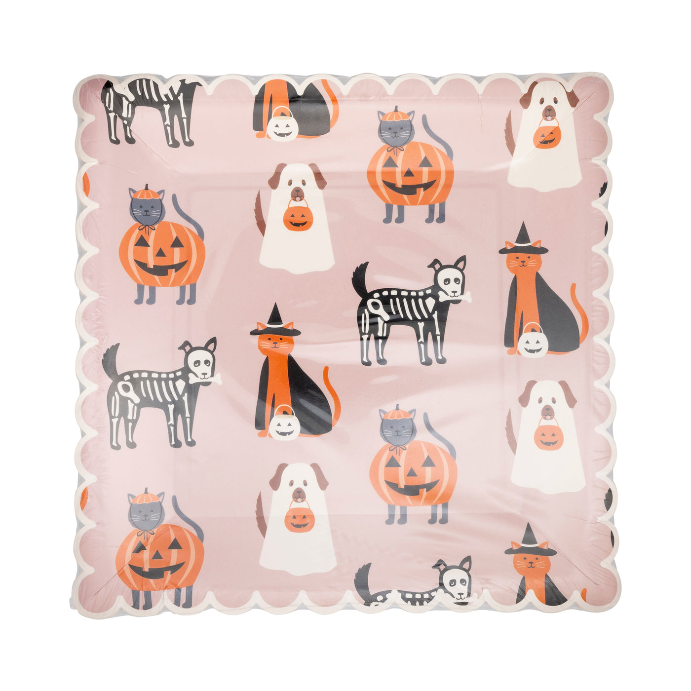 PLPL565 - Costume Pets Plate