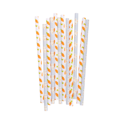 PLSS325 - Bunny/Carrot Reusable Straws