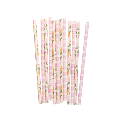 PLSS327 - Carrots and Stripes Reusable Straws