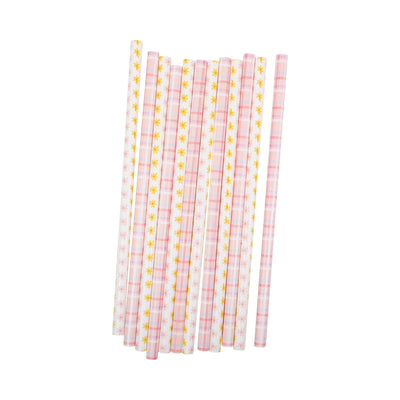 PLSS348 - Pink Plaid Flowers Reusable Straws