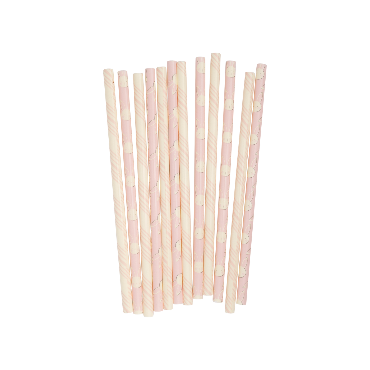 SBN1015 - Bunny Reusable Straws