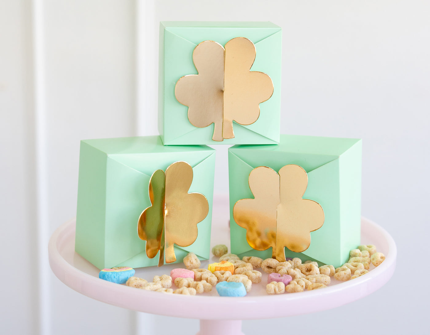 SPD1108 - Shamrock Treat Box