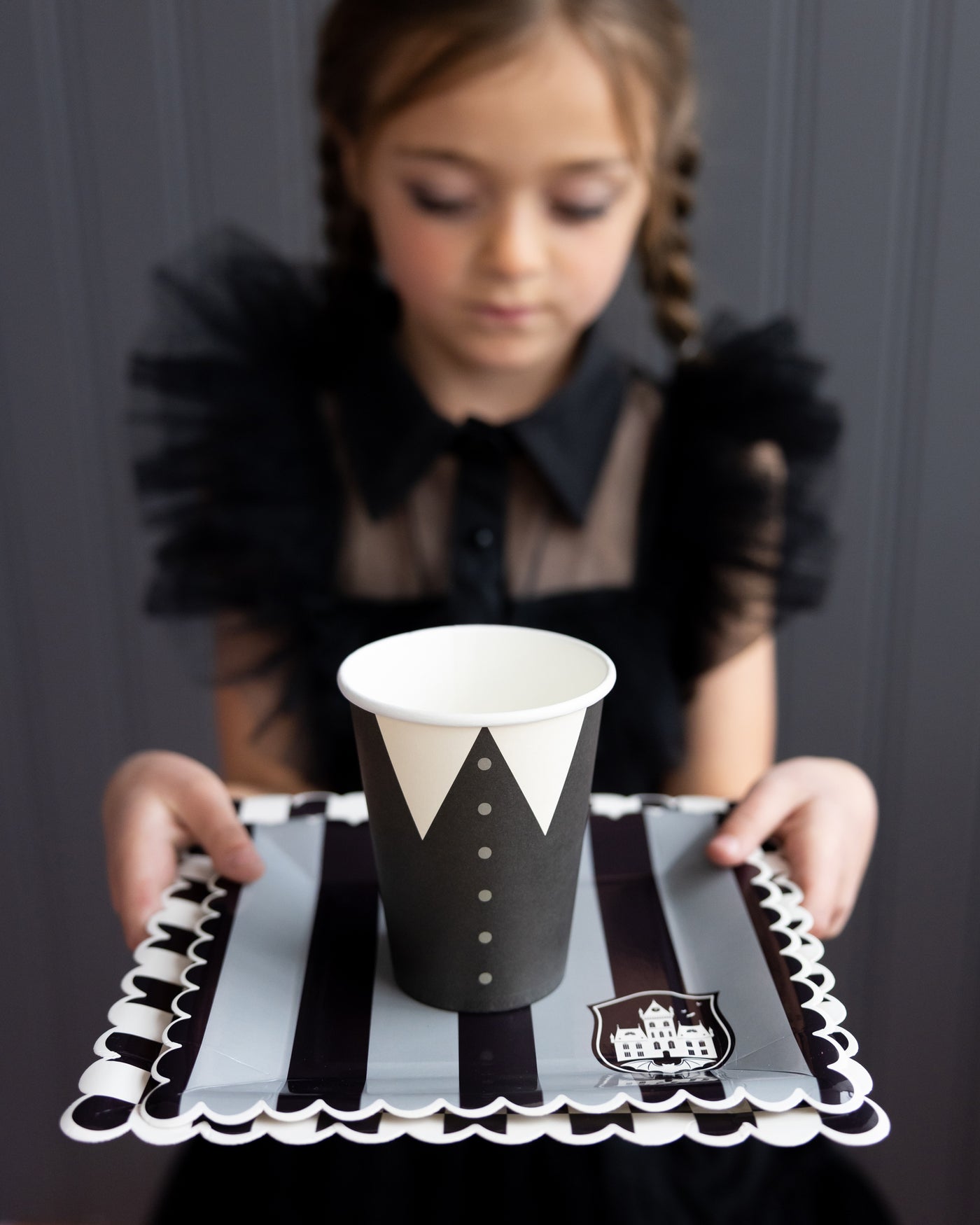 WED1039 -  Party More Tonal Black Stripe Paper Plate