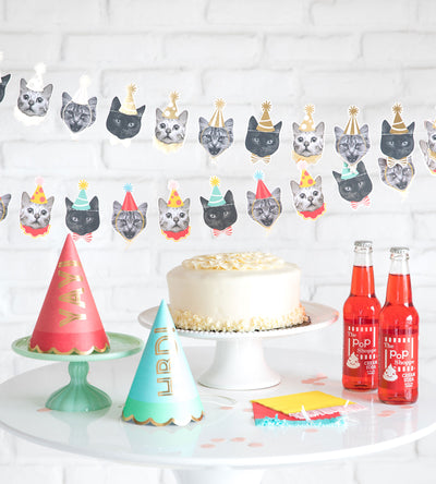 PGB705- Party Animals Cat Banner