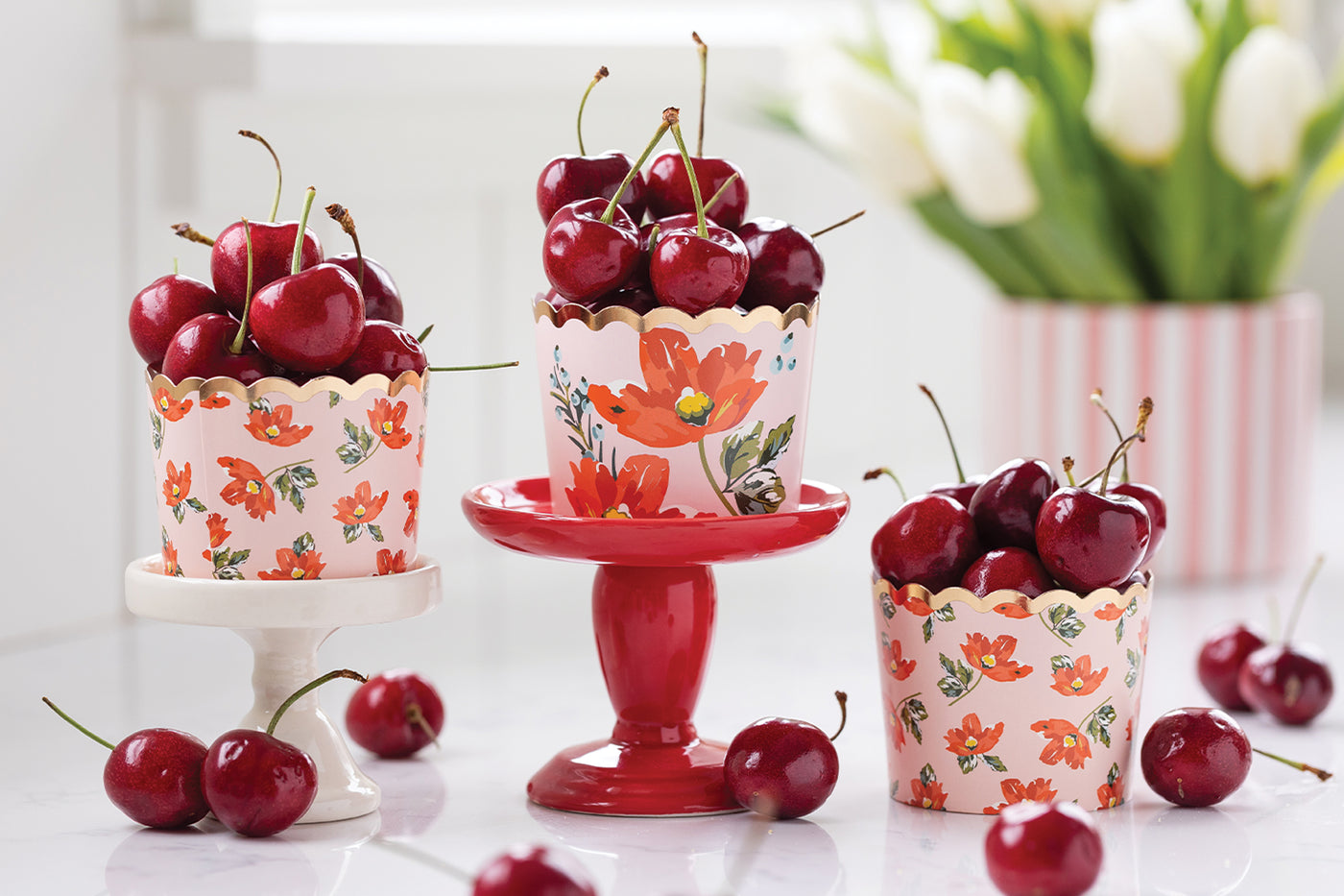 PLCC1279 - Sketched Poppy Food Cups (36 ct)
