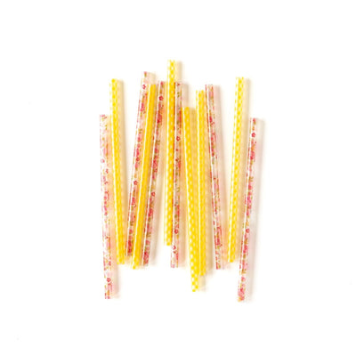 PLSS133 - Bright Gingham Floral Reusable Straws