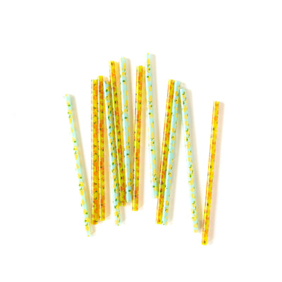 PLSS160 - Fruit Basket Reusable Straws