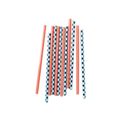 SSP926 - Plaid and Stripes Reusable Straws